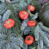 Pumpor torkade 5 st Pumpor torkade 5 st