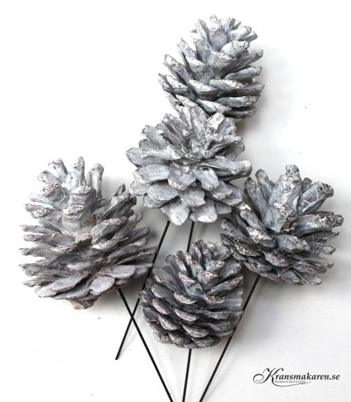 Kottar, vitaktiga. 5 st