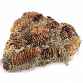 Hjärta med kottar och mossa ca 24 x 25 cm Hjärta med kottar och mossa ca 24 x 25 cm