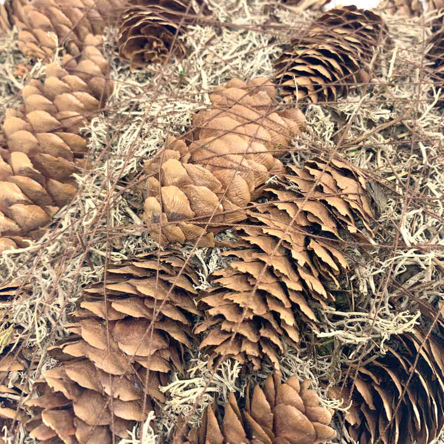 Hjärta med kottar och mossa ca 24 x 25 cm