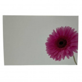 Blomsterkort med rosa Gerbera 50st