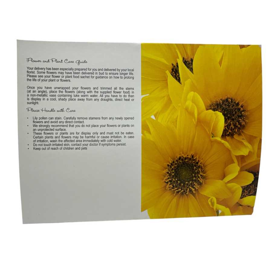 Blomsterkort dubbelvikt med gula tusenskönor 25st