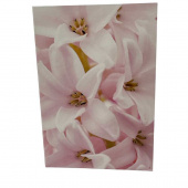 Blomsterkort dubbelvikt med rosa Hyacint 25st