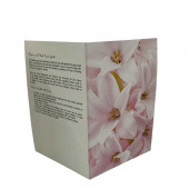 Blomsterkort dubbelvikt med rosa Hyacint 25st