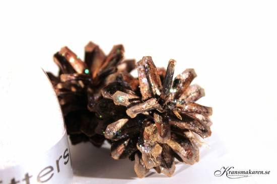 Dekorera med glitter på växter