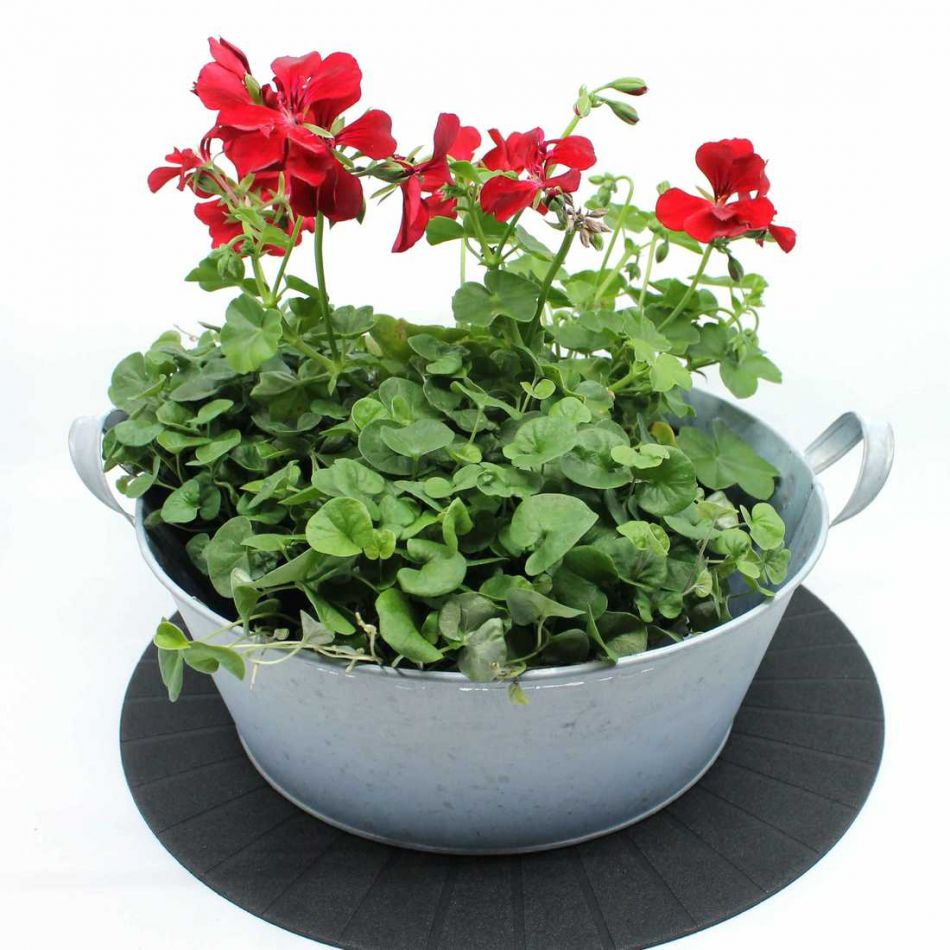 Zink skål med handtag, Vit zink. 29 cm