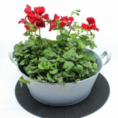 Zink skål med handtag, Vit zink. 29 cm Zink skål med handtag, Vit zink. 29 cm