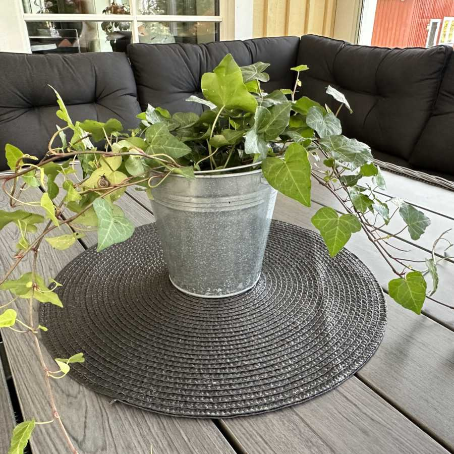 kottar och kantareller i hink