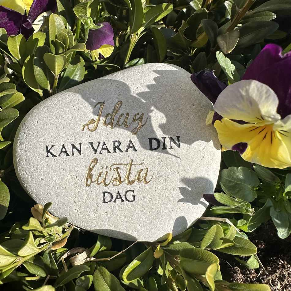 Sten med text - Idag kan vara din bästa dag