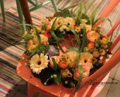 Oasis, rund. 25 cm Oasis, rund. 25 cm