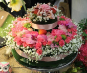 Oasis, rund. 25 cm Oasis, rund. 25 cm