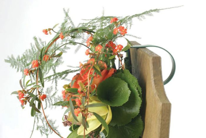 Oasis Le Klipp. 6 st