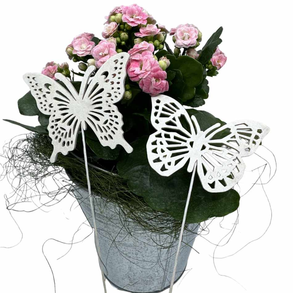 Fjärilar, Vita. 2 st olika.