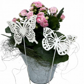 Fjärilar, Vita. 2 st olika. Fjärilar, Vita. 2 st olika.