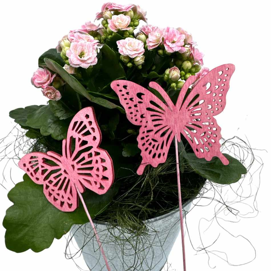 Fjärilar, Rosa. 2 st olika.