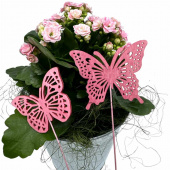 Fjärilar, Rosa. 2 st olika. Fjärilar, Rosa. 2 st olika.