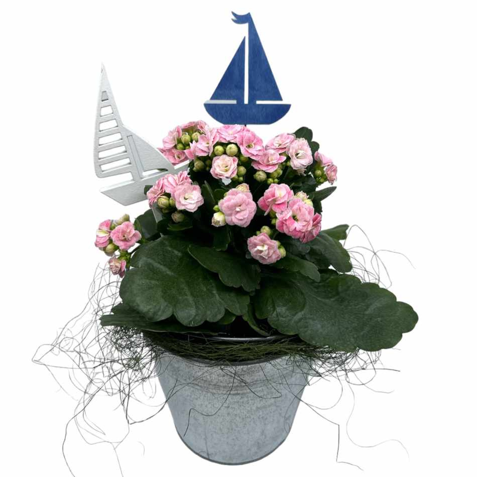 Båtar i trä - 2 st olika.