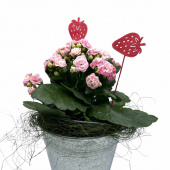 Jordgubbar i trä. 2 st olika. Jordgubbar i trä. 2 st olika.