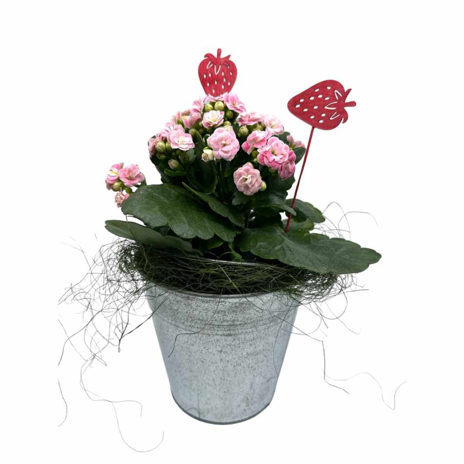 Jordgubbar i trä. 2 st olika.