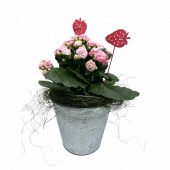 Jordgubbar i trä. 2 st olika. Jordgubbar i trä. 2 st olika.