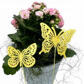 Fjärilar, Ljusgul. 2 st olika. Fjärilar, Ljusgul. 2 st olika.