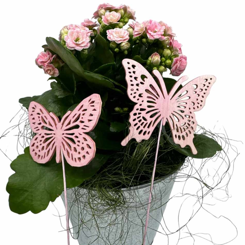 Fjärilar, Ljusrosa. 2 st olika.