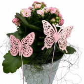 Fjärilar, Ljusrosa. 2 st olika. Fjärilar, Ljusrosa. 2 st olika.