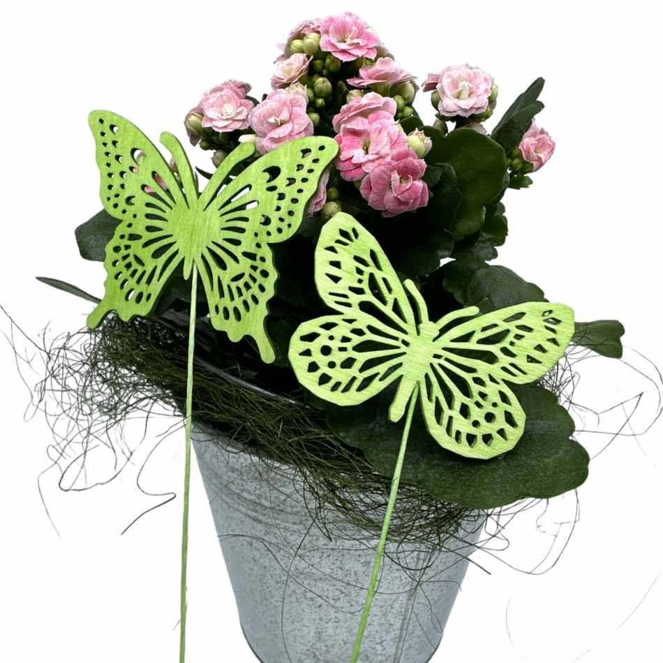 Fjärilar, Grön. 2 st olika.