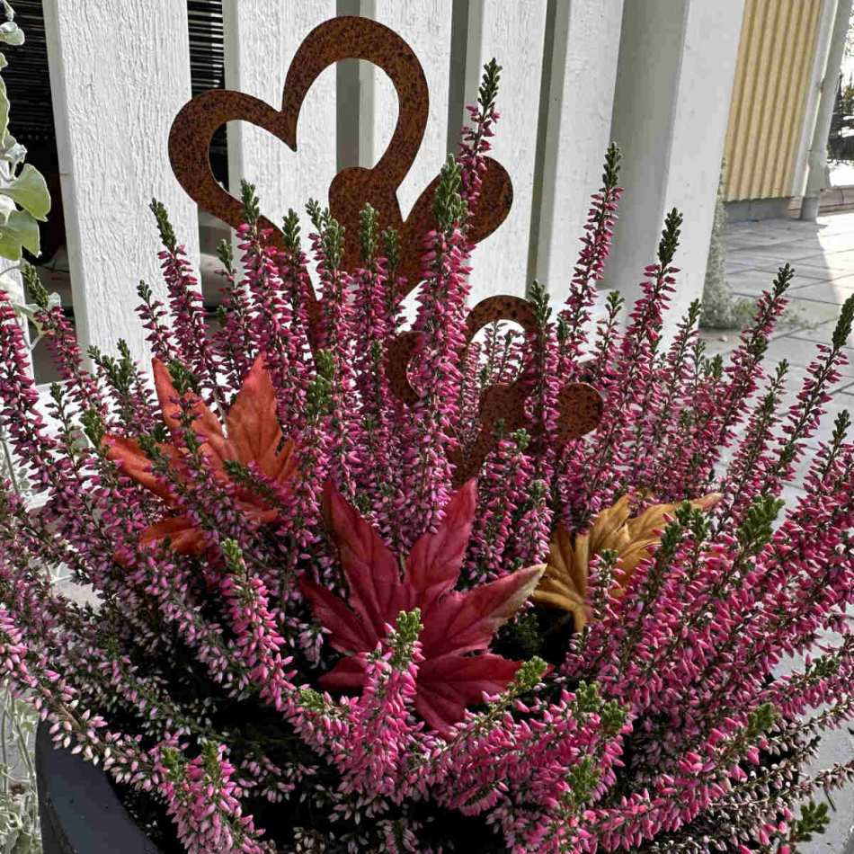 Hjärtan av rostig metall, ca 8 cm