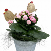 Hönor 2 st Hönor 2 st