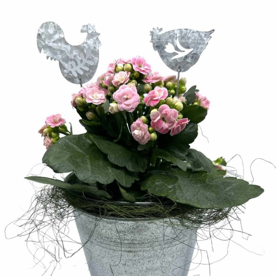 Tupp och höna i metall