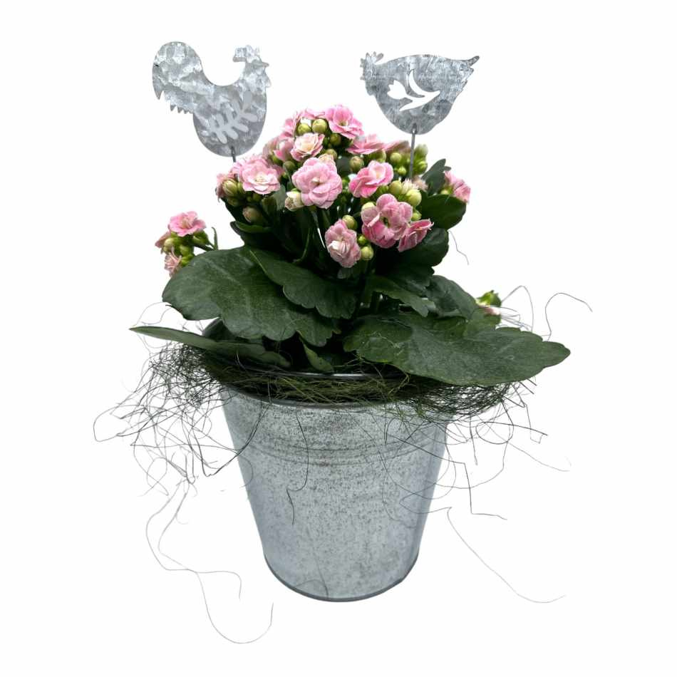 Tupp och höna i metall