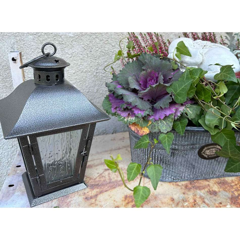 Gravlykta, silvergrå hängande