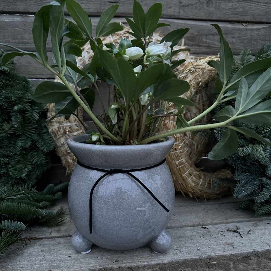 Blomkruka med 3 ben Grå