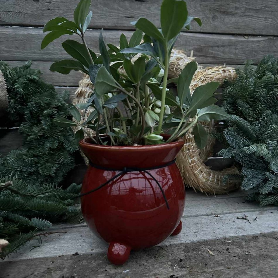 Blomkruka med 3 ben Röd