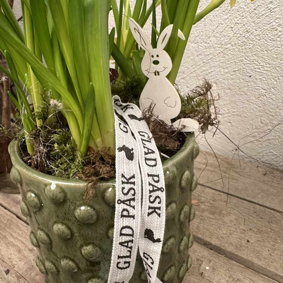 Kruka Glacebubbel Grön 13,5 cm