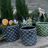 Kruka Glacebubbel Gråblå 15 cm Kruka Glacebubbel Gråblå 15 cm