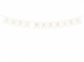 Banner med texten just married just married