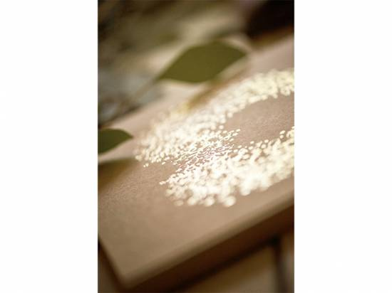 Gästbok, ca 20,5 x 20,5 cm, 22 blanka sidor