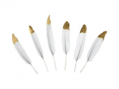 Fjädrar, vita, med guldfärgad topp. 10-16 cm