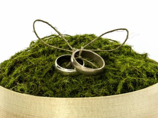 Träask ca 12 x 4 cm