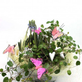 Planteringspaket - DIY Planteringspaket - DIY