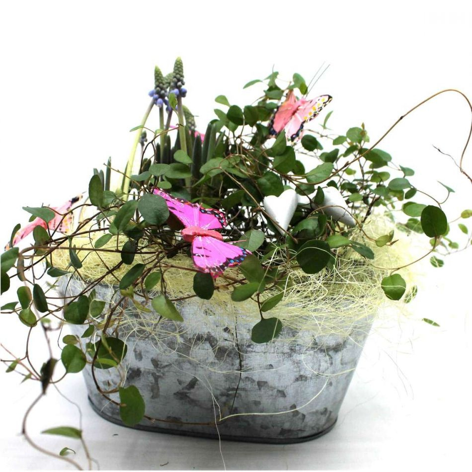 Planteringspaket - DIY