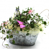 Planteringspaket - DIY Planteringspaket - DIY