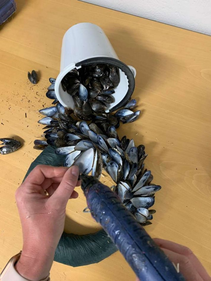 Kranspaket Bas för Musselkrans (musslor ingår ej)